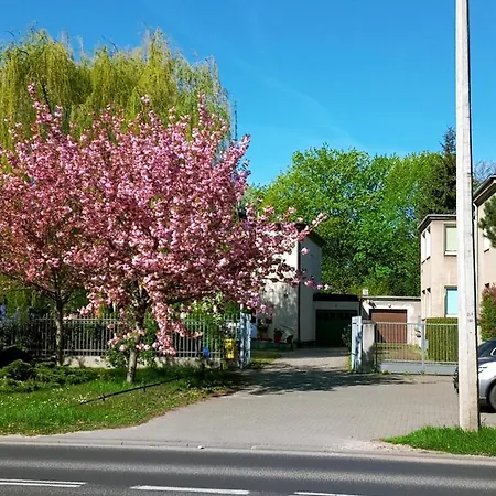 Szelag - Sypialnia, Salon, Taras Homestay *